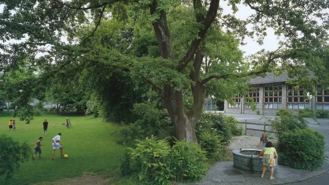 Die Schule Entlisberg in Z&uuml;rich-Wollishofen wurde 1947 von den Architekten. Kr&auml;her & Bosshard und dem Land- schaftsarchitekten Gustav Ammann entworfen und realisiert.